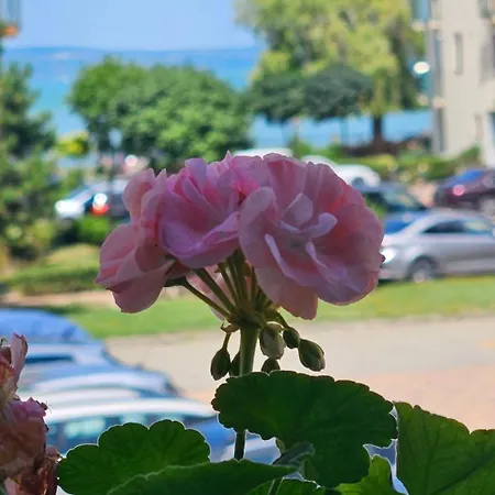 White Rose Luxury Balaton Lejlighed Siófok