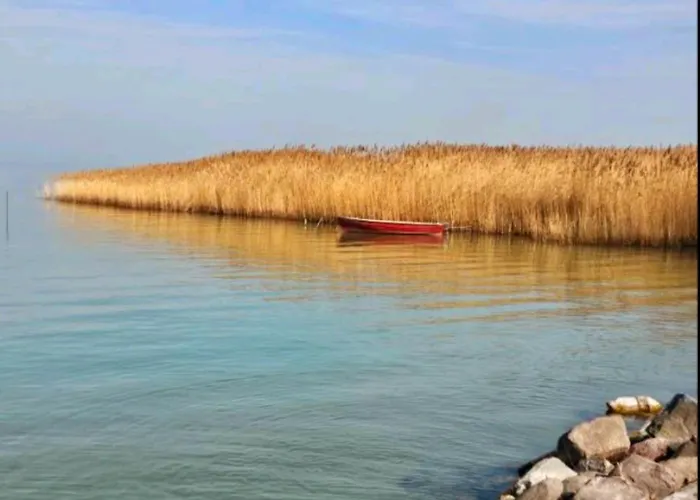 아파트 White Rose Luxury Balaton 시오포크